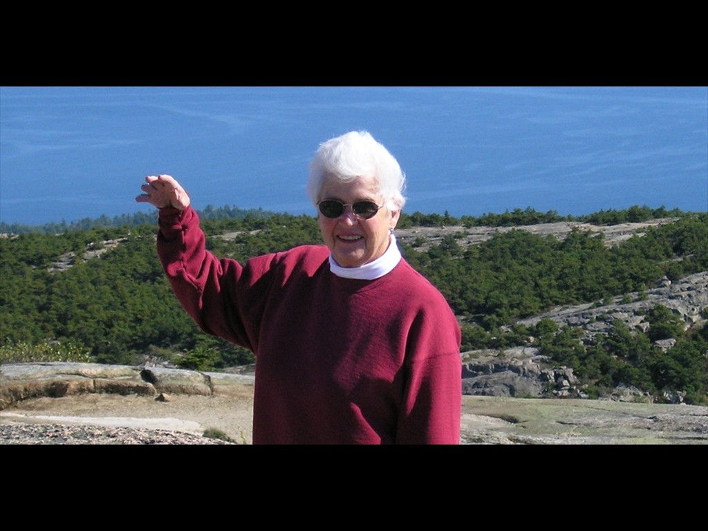 Bobbi Acadia Landscape