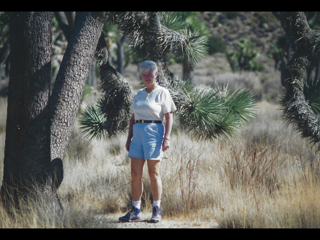 Desert 95 Hiker