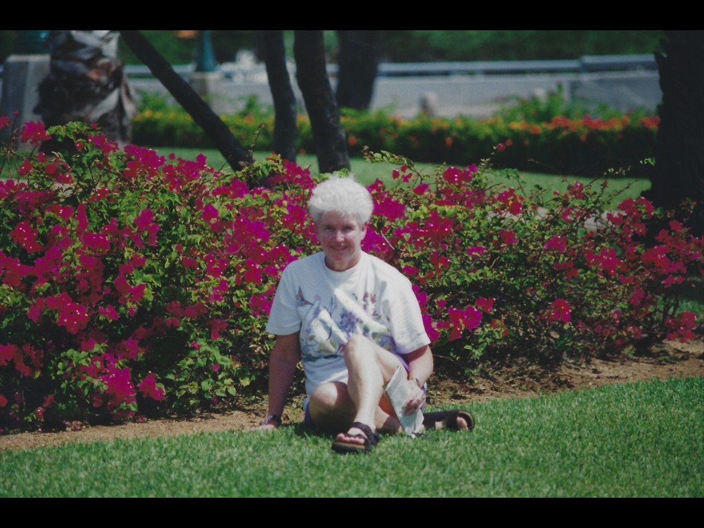 Flower Garden In Aruba