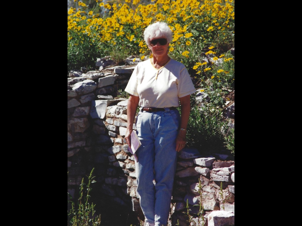 New Mexico Ruins Closeup 1992